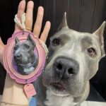 Forever By Your Side — Custom Hand-Carved Leather Pet Portrait Pendant - Image 3