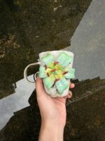Tachikawa Studio Signed Sculptural Lily & Orchid Stoneware Mug - Image 6