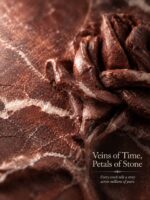 "Stone Keeps the Rose" Hand-Carved 3D Red Marble Botanical Relief | Moody Mid-Century Framed Object Piece - Image 2